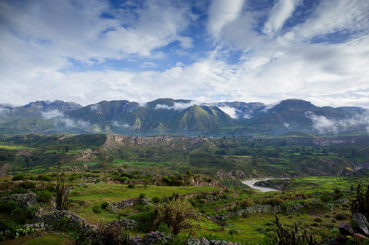 The terraced walls and deep gorge of the Colca Canyon near Arequipa