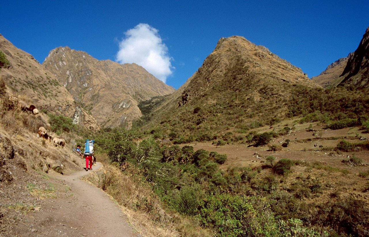 The climb to Dead Woman's Pass, the highest point of the Inca Trail