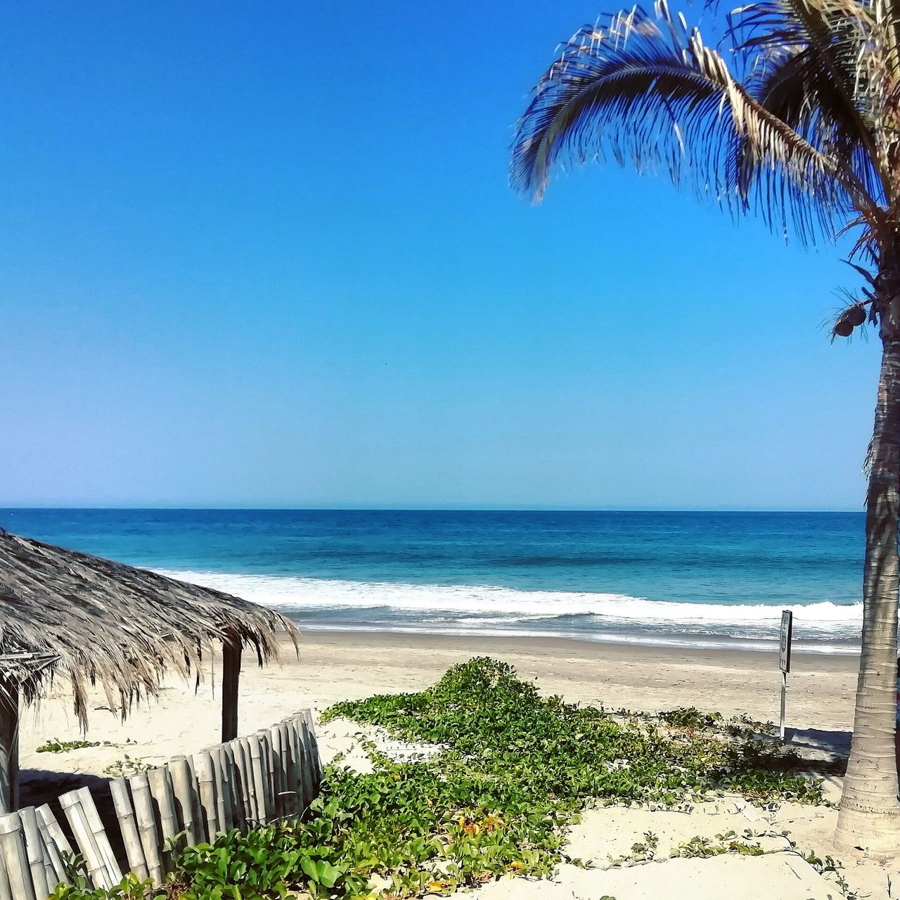 Palms and empty sand at Vichayito beach, just south of Mancora on Peru's north coast
