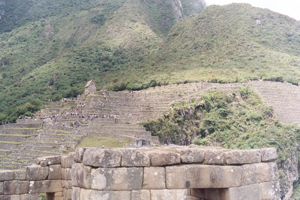 Brilliantly green terraces at Machu Picchu after the summer rains