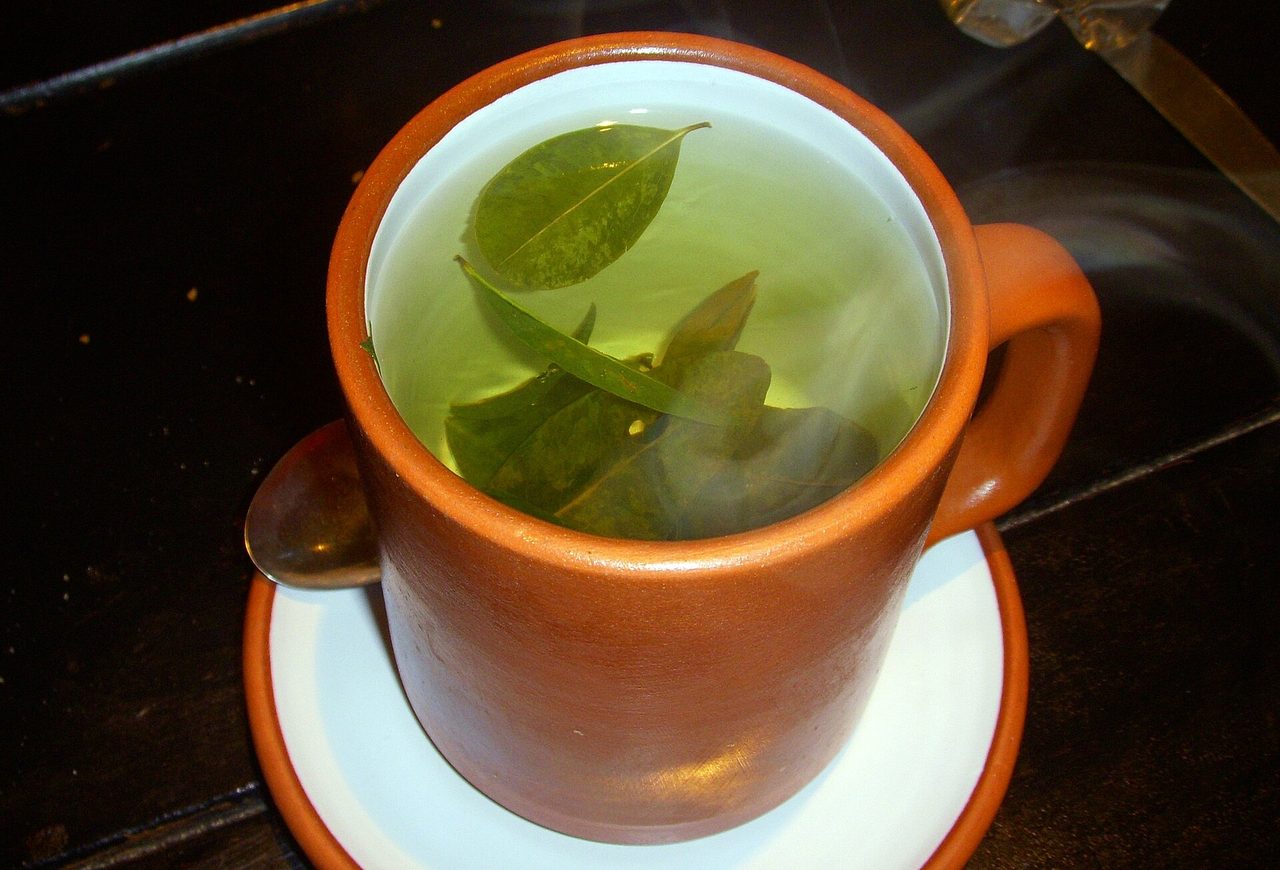 A clay mug of mate de coca with whole coca leaves floating in it