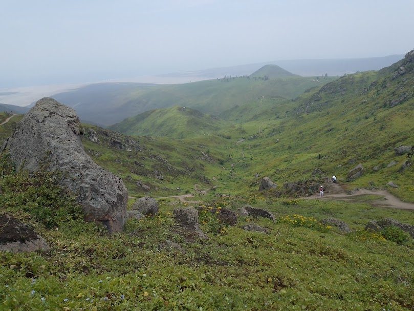 Green fog-fed hills of the Lomas de Lachay national reserve with the coastal desert and sea mist beyond