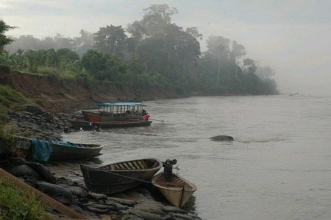 Wooden boats moored on the bank of the Madre de Dios river at Boca Manu, with mist over the rainforest behind