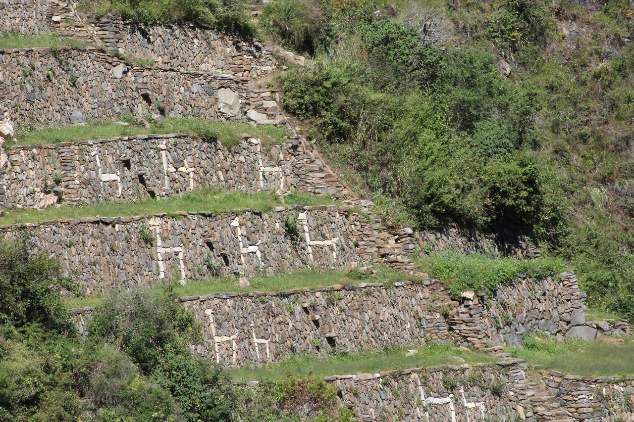 Stepped stone terraces at Choquequirao with white stone llama figures set into the retaining walls