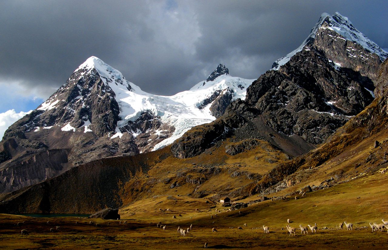 Snow-capped peaks of the Ausangate massif above golden puna grassland, with alpacas grazing and a glacial lake below