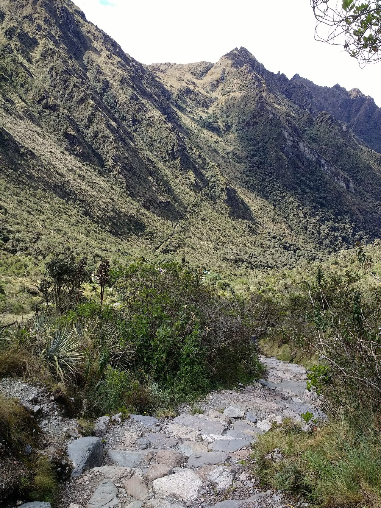 Rough stone steps on the Inca Trail dropping away below a steep scrub-covered mountainside