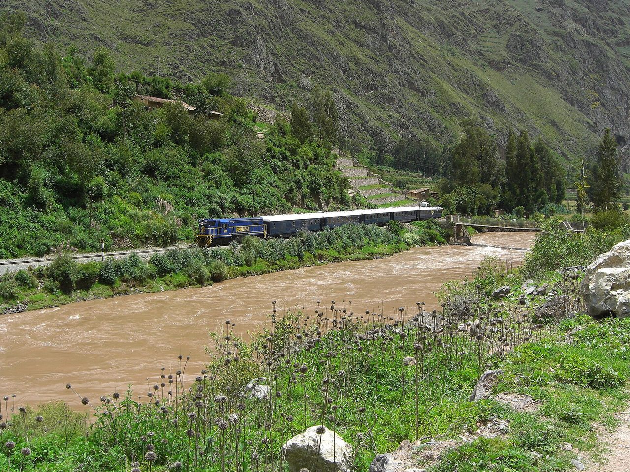 A PeruRail train running beside the muddy Urubamba river on the floor of the Sacred Valley, with Inca terracing on the slope above