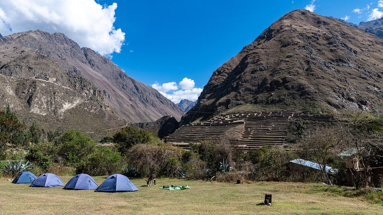 Blue trekking tents pitched on grass at an Inca Trail campsite below the terraced Patallacta ruins